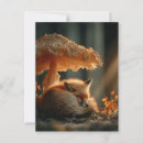 Recherche de champion cartes postales Forêt