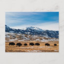 Recherche de mariage montagne vœux cartes Troupeau