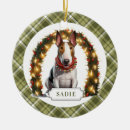 Recherche de bull terrier ornements Blanc