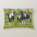 Recherche de poulain coussins Ranch