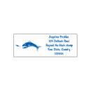 Recherche de barracuda Pêche