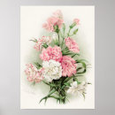 Recherche de oeillets posters Décoration