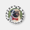 Recherche de patte de chien magnets Pour animaux