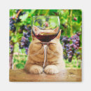 Recherche de humour vin magnets Avanti presse