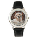 Recherche de le labrador montres Chiot