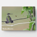 Recherche de abeille plaques Ornithologie