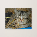 Recherche de kitty cat puzzles Amoureux des chats