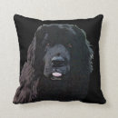 Recherche de terre neuve coussins Newfie