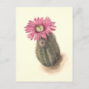Recherche de turquie vintage cartes postales Illustration