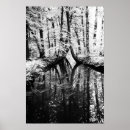 Recherche de reflet art La nature