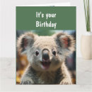 Recherche de humour koala Drôle