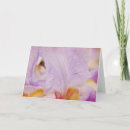 Recherche de dreams vœux cartes Violet