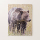 Recherche de yellowstone puzzles Ours
