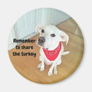Recherche de foulard magnets Toute personne