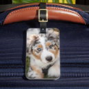 Recherche de australian shepherd accessoires Chiot