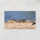 Recherche de alligators cartes visite Faune