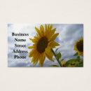 Recherche de gloire cartes visite Nature