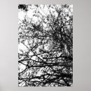 Recherche de arbres noir blanc posters Abstrait
