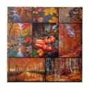 Recherche de grille carreaux Photographie