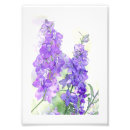 Recherche de fleur de digitale art Photographie