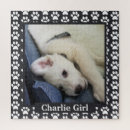 Recherche de tableau noir puzzles Chien