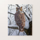 Recherche de owl puzzles Hibou