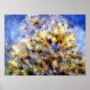 Recherche de algues bleues posters Côte