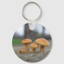 Recherche de tabouret porteclés Nature