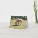 Recherche de haflinger vœux cartes Poney