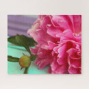 Recherche de peony puzzles Photographie