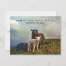 Recherche de irlandais mignon Irlande
