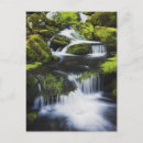 Recherche de gouttelette cartes postales Photographie