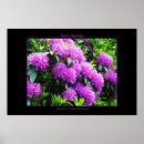 Recherche de springtime posters Rose