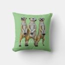 Recherche de suricates coussins Mignon