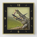 Recherche de action horloges Nature