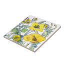 Recherche de pavots sauvages carreaux Botanique