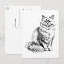 Recherche de bonjour mon amour vœux cartes Pense à toi