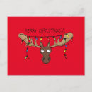 Recherche de animaux droles cartes postales Idiot
