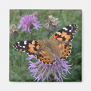 Recherche de de papillon de monarque refrigérateur magnets Orange