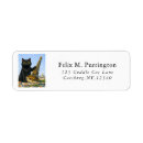 Recherche de tour de chat noir Pour tous