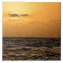 Recherche de hawaï carreaux Hawaii