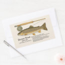 Recherche de truite brune Pêche à la mouche