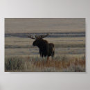 Recherche de orignaux de taureau art Chasse