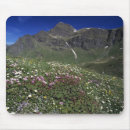 Recherche de fleurs montagne tapis souris Bleu