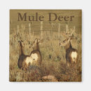 Recherche de trophée magnets Chasse