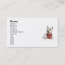 Recherche de chien westie cartes visite Chiens