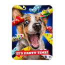 Recherche de chien magnets Anniversaire