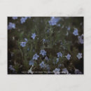 Recherche de grâce cartes postales Fleurs