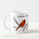 Recherche de cardinalis de cardinalis Rouge