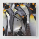 Recherche de poussin horloges Animal
